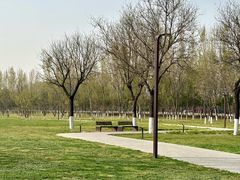 -汉长安城未央宫国家考古遗址公园