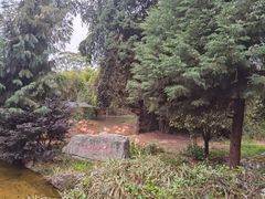 -云南野生动物园