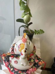 -可樱汇·美容洗发SPA