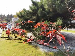 -常州花鸟园酒店(西太湖品牌优选店)