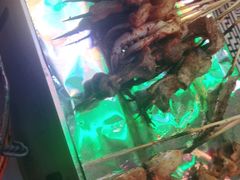 -云晓光头烧烤吧(新大陆广场店)