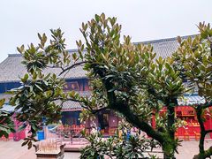 -峨眉山报国寺