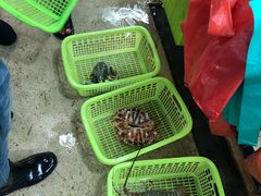 -班赞海鲜市场