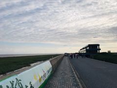 -南汇嘴观海公园