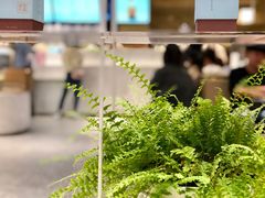 -奈雪的茶(湖滨银泰in77C区PRO店)