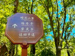 -塔云山