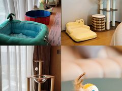 -深圳国际会展中心希尔顿酒店(前海华发冰雪世界店)