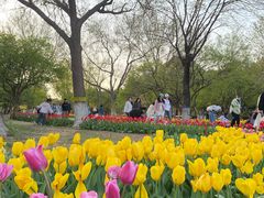 -石家庄市植物园
