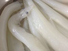 大银鱼-郑厨私房菜