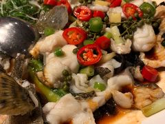 鲜花椒蒸龙趸鱼-任兴记(定西路店)