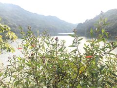 -广州市石门国家森林公园