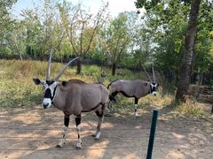 -大连森林动物园