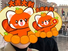 -澳门威尼斯人综合度假区