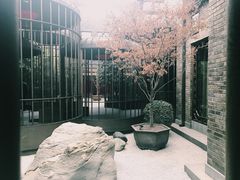 -成都观隐颐云台酒店-芳菲秀