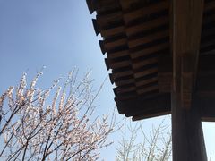 -春风习习