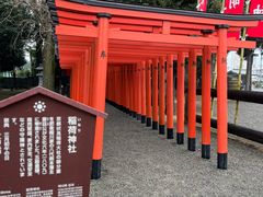 -水前寺成趣园