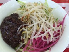 -朝阳公园游乐园