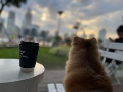 -BLATAGE COFFEE