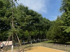 -西安浐灞国家湿地公园