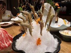 -尚海豆捞(乐虹坊店)