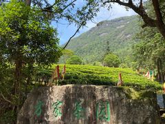 -姑婆山旅游区