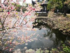 -无锡蠡湖国家湿地公园-蠡园