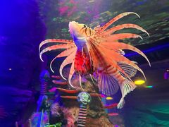 -沈阳海洋探索中心