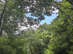 -大连冰峪旅游度假区