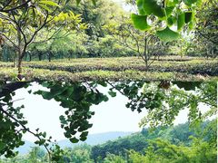 -湾里人家(旺山景区店)