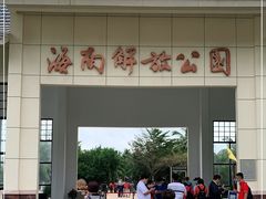 -临高角