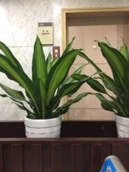 点击看大图 -浙江大学医学院附属妇产科医院(湖滨院区)
