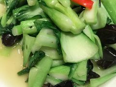 -贴阁碧(百丈东路店)