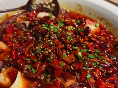 精品海鲜毛血旺-青年公社烤鸭(青年路店)