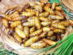 -昆虫窝子·特色云南菜(拓东路总店)