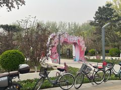 -元大都城垣遗址公园