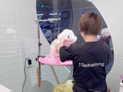-FAELING PETS美天灵宠物(合生汇店)