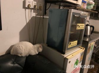 隐匿在老巷子中的青年旅社