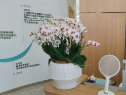 -颜蕾医美黄金微针水光美肤玻尿酸抗衰中心