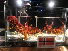 -璞御·海鲜·雪花牛肉局(宾水西道店)