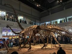 -自贡恐龙博物馆