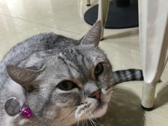 -小时光咖啡馆(开森度假森林店)