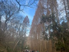 -狼牙山风景区