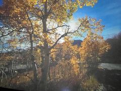 -苏州青少年科技馆