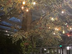 -云境生态园(红谷滩店)