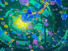-海合安青岛极地海洋公园