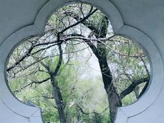 -黑龙江省森林植物园