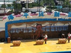 -海合安青岛极地海洋公园