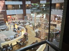 -深圳观澜格兰云天国际酒店