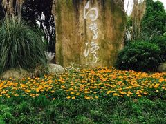 -白鹭湾湿地公园