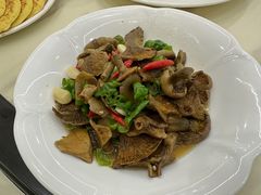 -山大王菌莊
